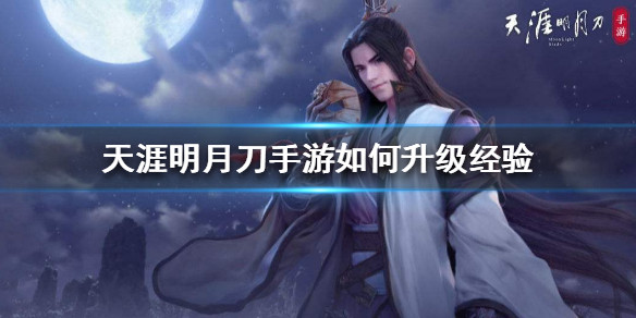 《天涯明月刀手游》升级攻略：快速提升经验值技巧解析