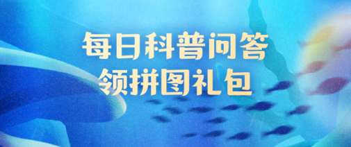 探索死海中独特生物的生存奥秘