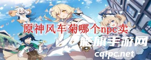 原神：探索风车菊所在NPC的购买地点