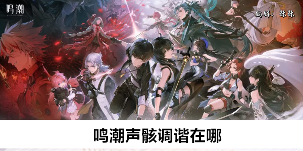 《鸣潮声·骸调》获取指南