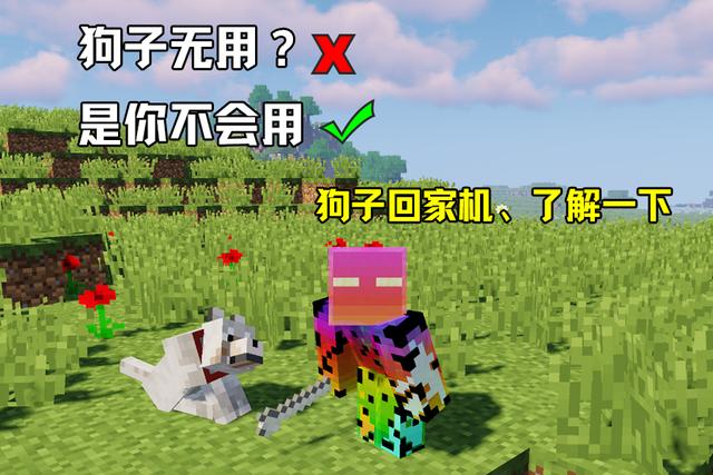 探索《我的世界》：如何让狗子成为你的得力助手——揭秘高效回家技巧