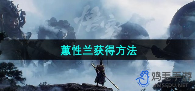 《探索《黑神话悟空》中神秘蕙性兰的获取途径》