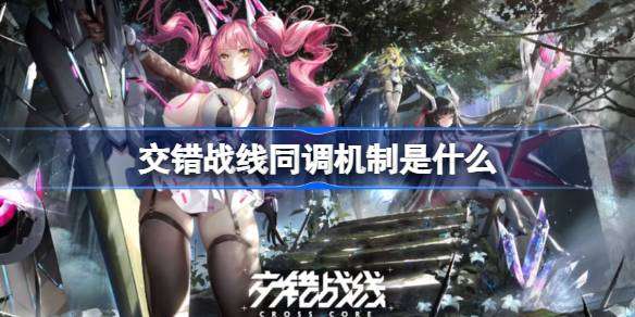 深入解析：交错战线中的同调机制原理与应用