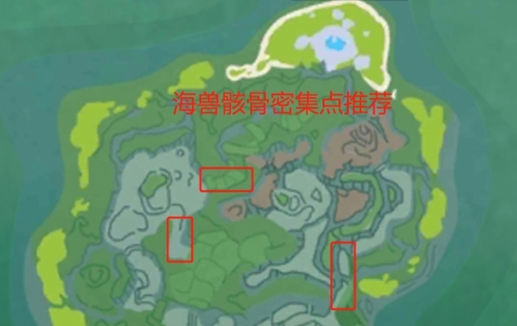 探索魔法海兽骸骨的神秘用途