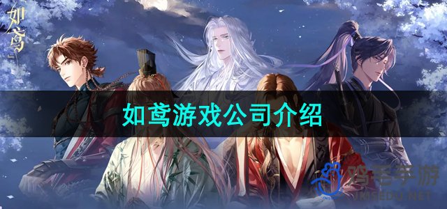 揭秘《如鸢》：一家备受瞩目的游戏公司深度解析