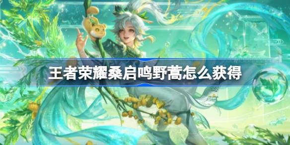 王者荣耀 桑启 铭文 野区操作指南